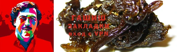 стаф Богородицк