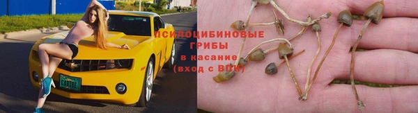 стаф Богородицк