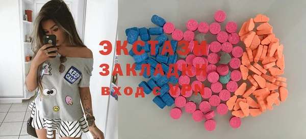 стаф Богородицк